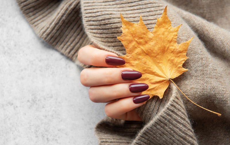 Autumn Hues